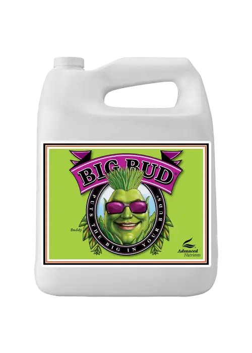 Big Bud