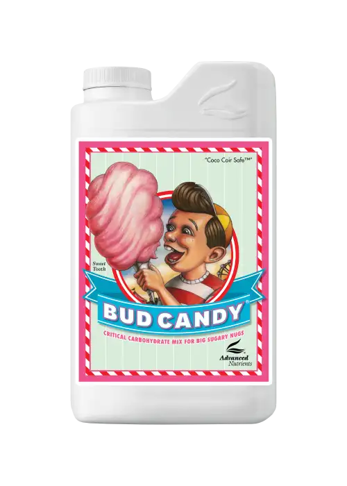 Bud Candy