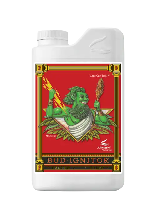 Bud Ignitor