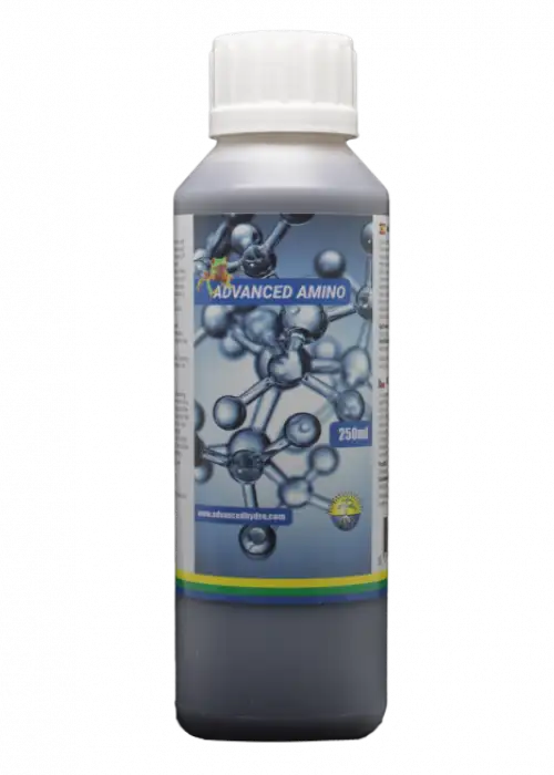 Advanced Amino