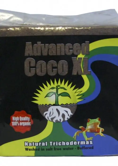 Advanced Coco