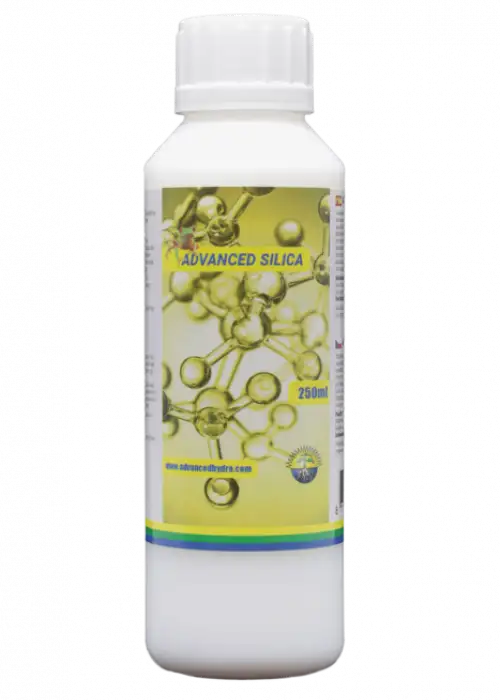 Advanced Silica