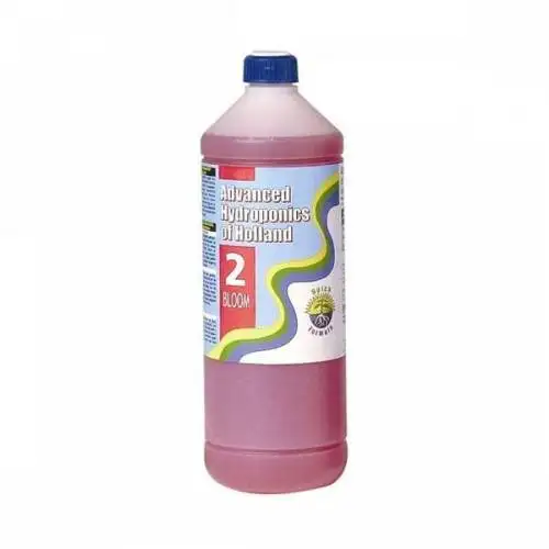 Dutch Formula Bloom