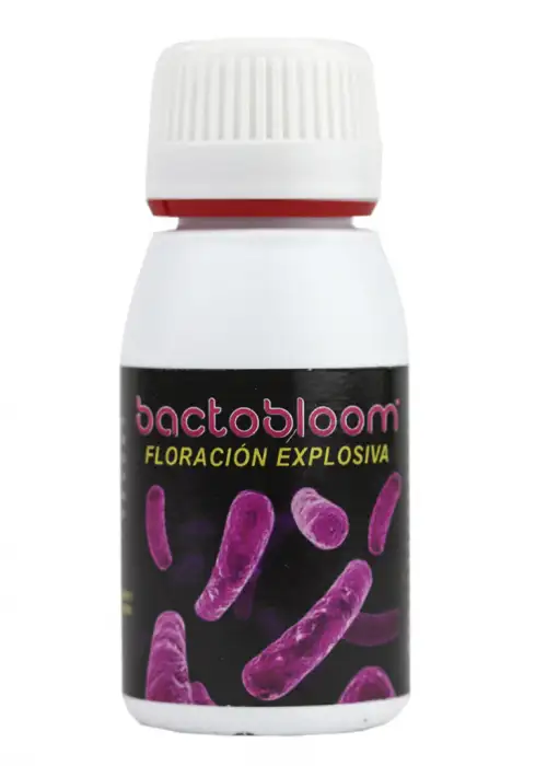 Bactobloom