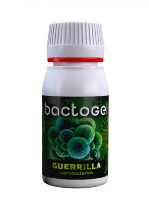 Bactogel