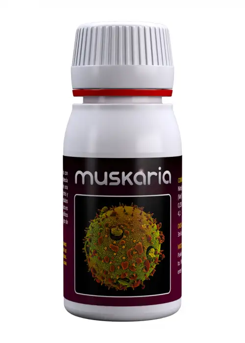 Muskaria