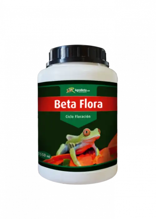Beta Flora