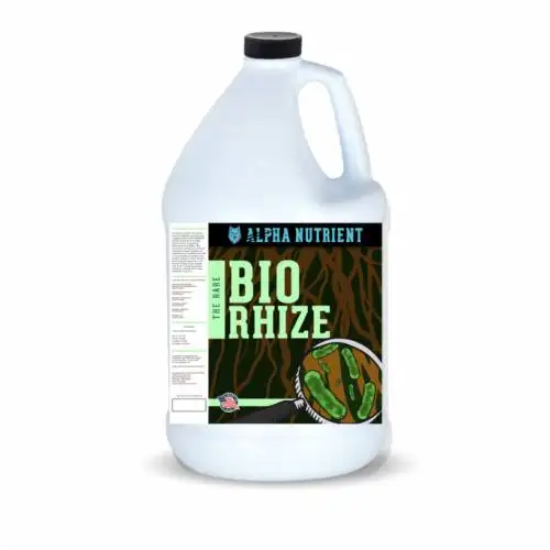 BioRhize