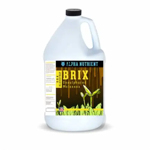 Brix