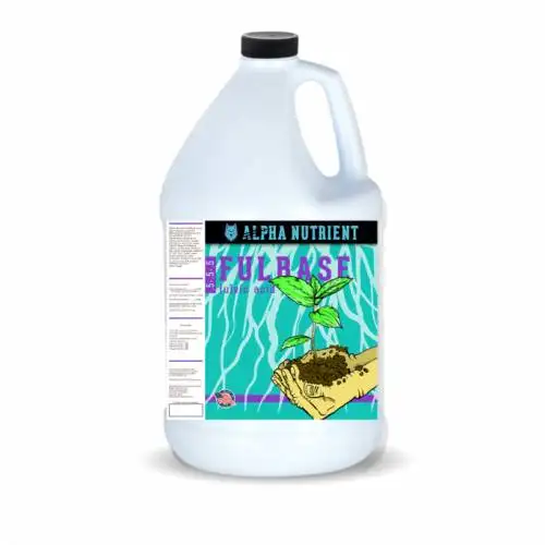 FulBase