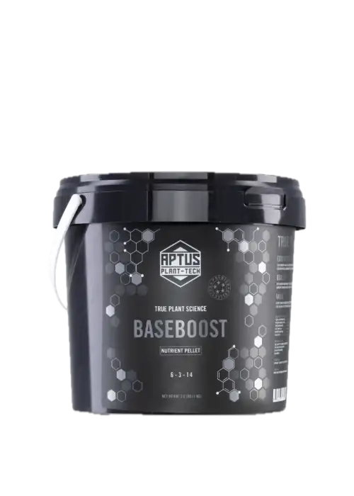 Baseboost