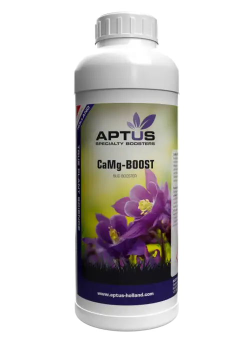 CaMg-Boost