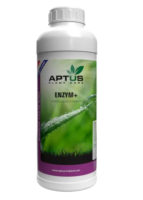 Enzym+
