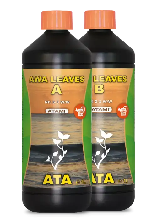 ATA AWA Leaves B