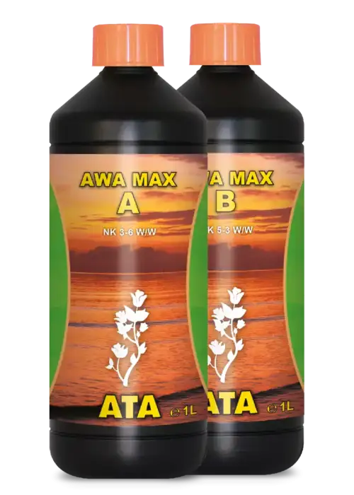 ATA AWA Max B