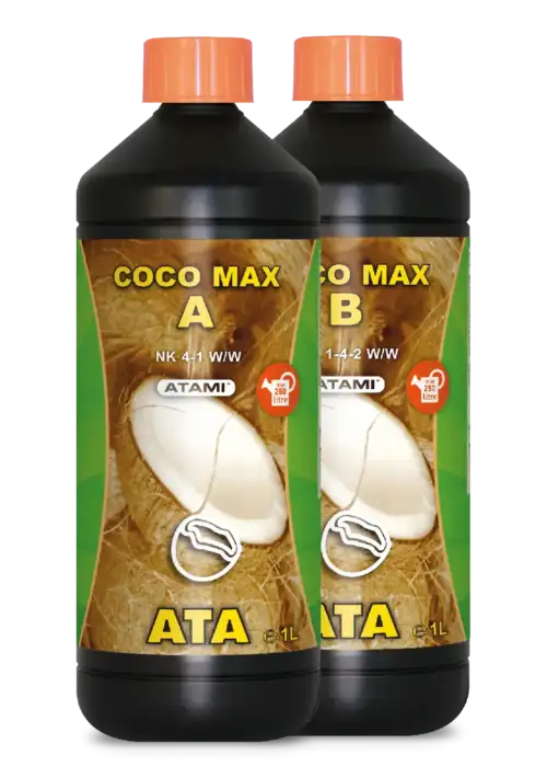 ATA Coco Max A