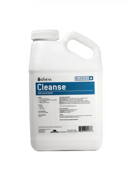 Cleanse