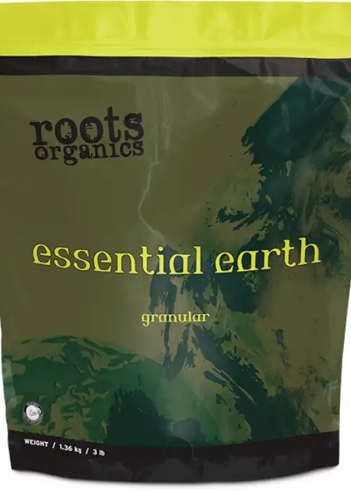 Essential Earth