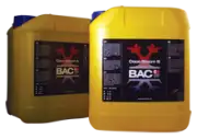 Cocos Nutrition B