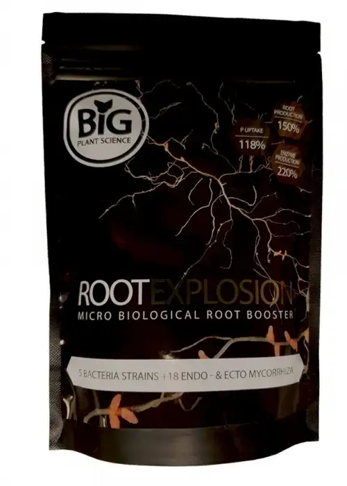 Root Explosion
