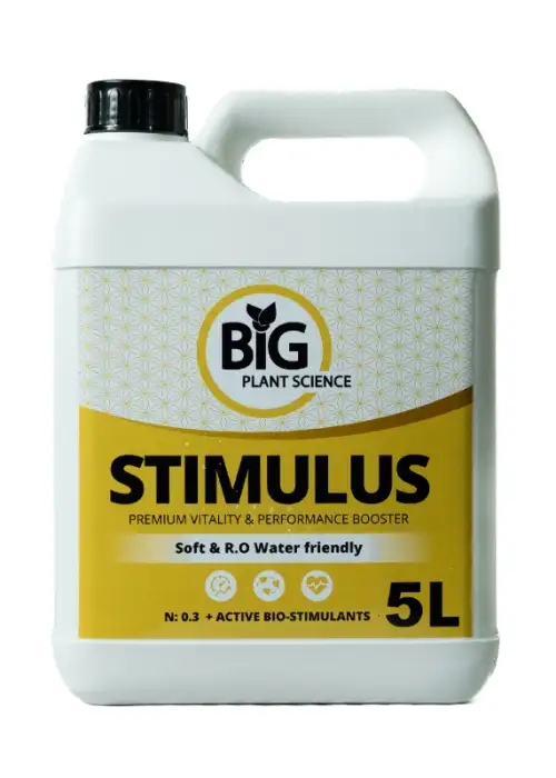 Stimulus