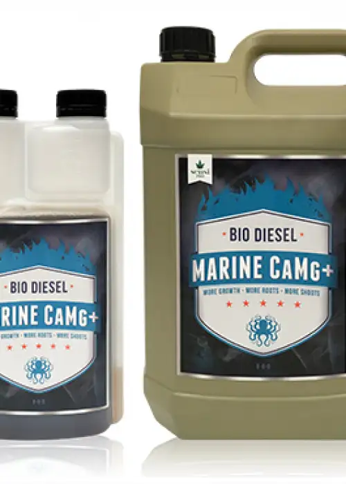 MARINE CaMg+