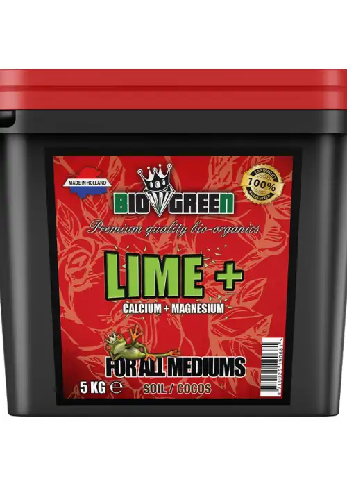 Lime