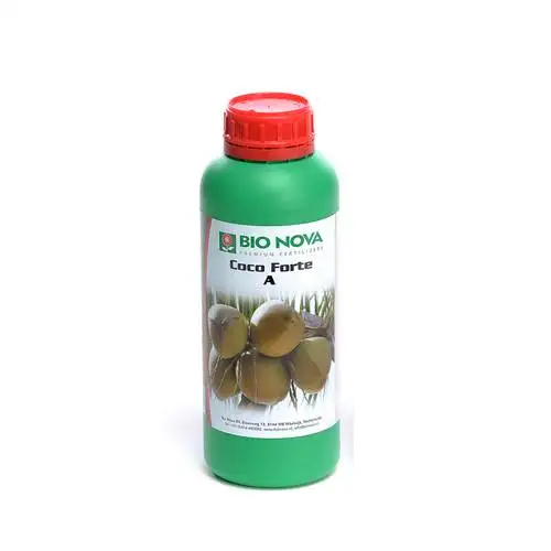 Coco Forte A