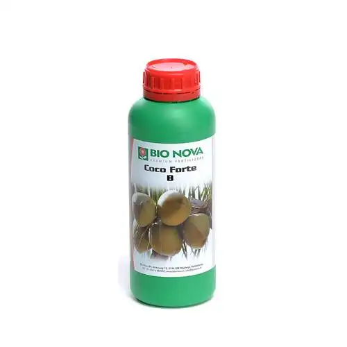 Coco Forte B
