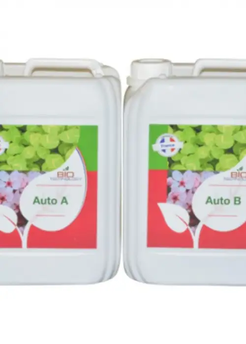 Auto B