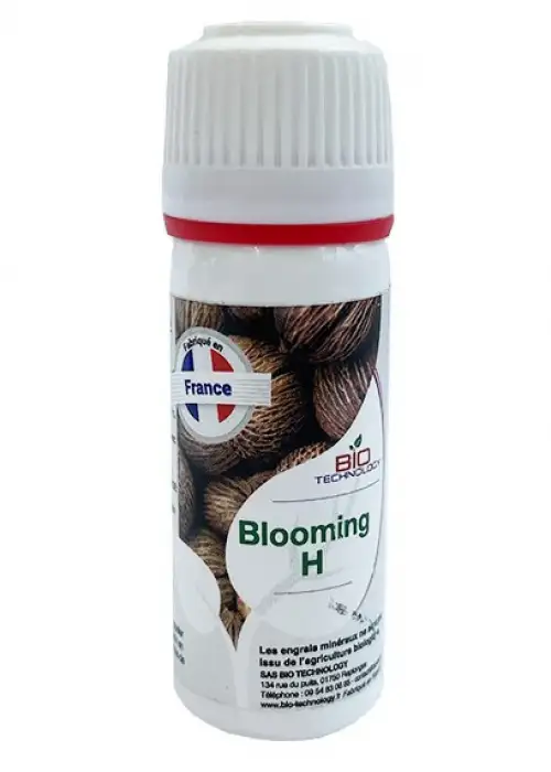 Blooming H