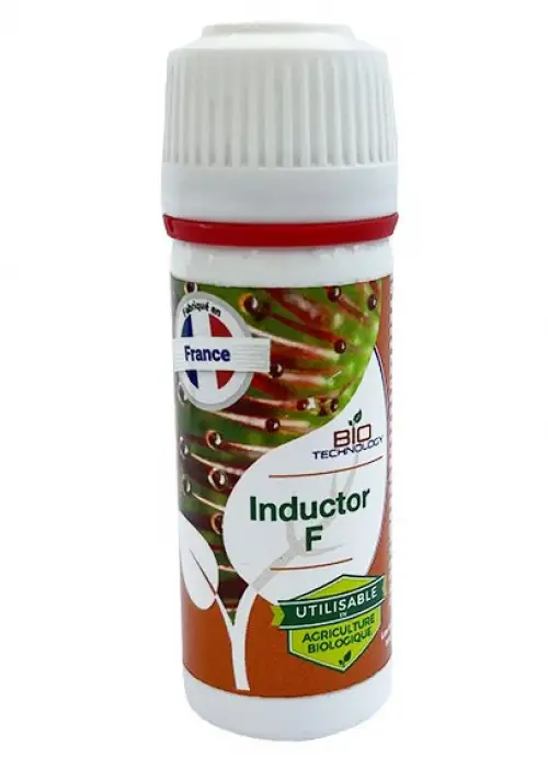 Inductor F