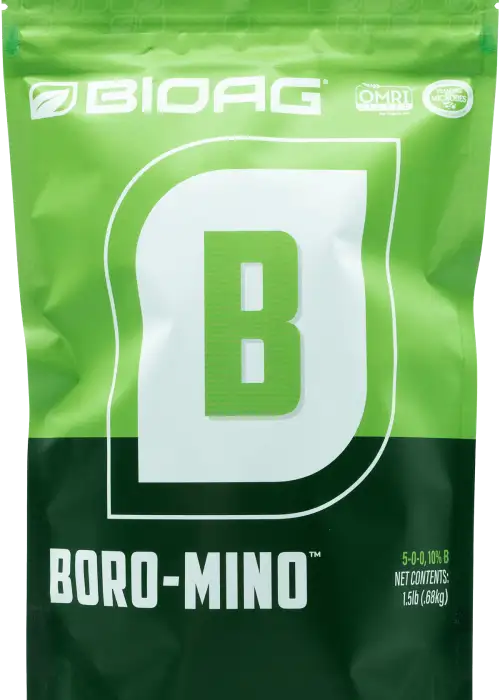 Boro-Mino