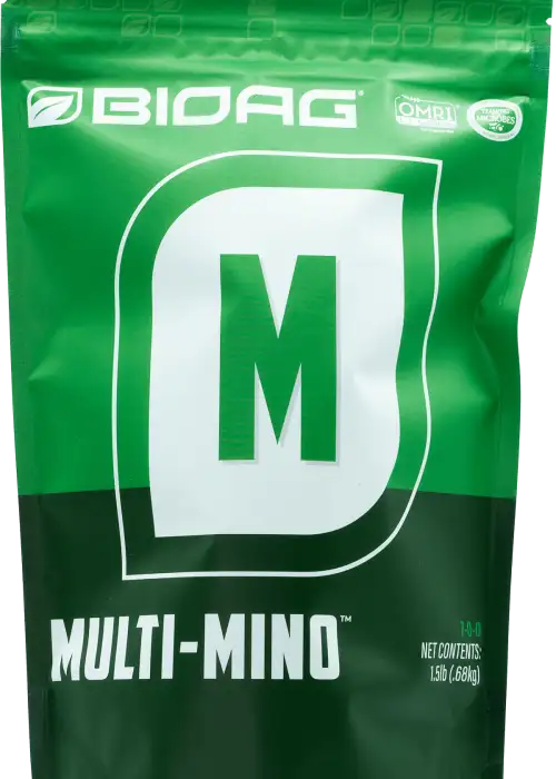 Multi-Mino