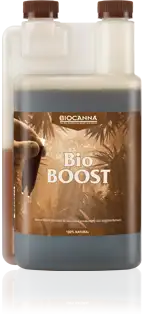 BioBOOST