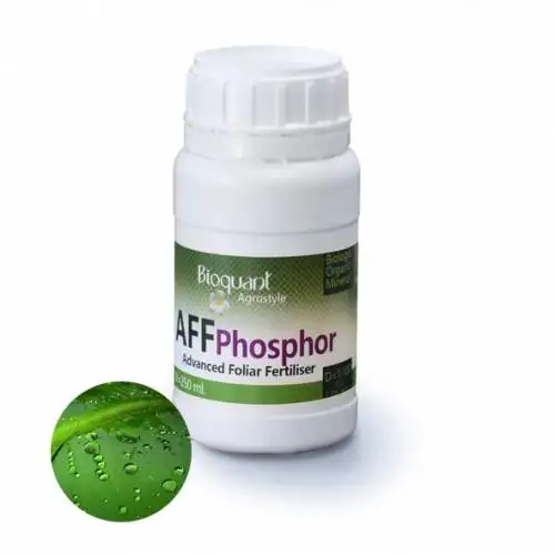 Bio AFF Phosphor