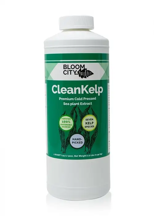 CleanKelp