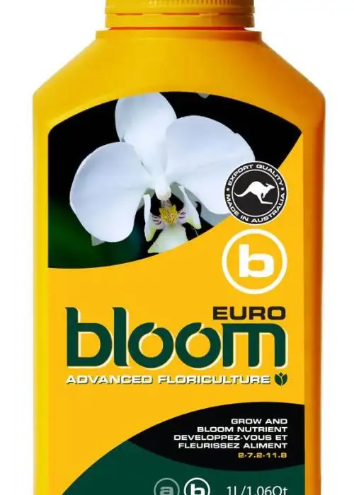 Euro B
