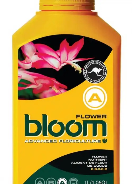 Flower A
