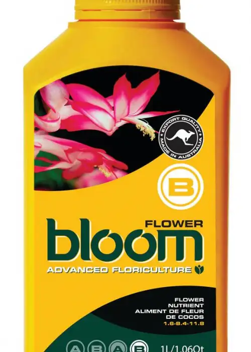 Flower B