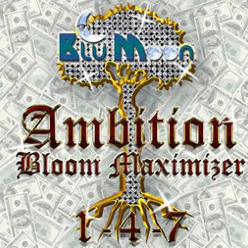Ambition