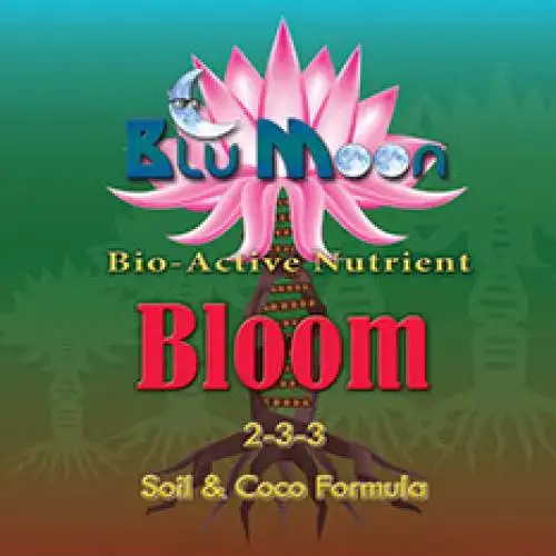 Bloom