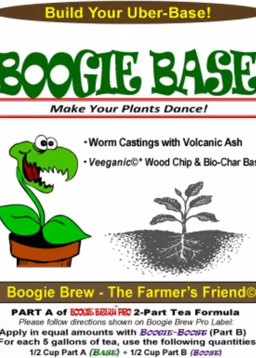 Boogie Base