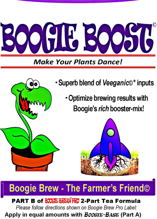 Boogie Boost