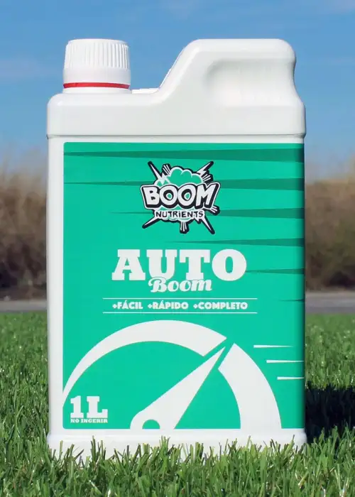 Auto Boom
