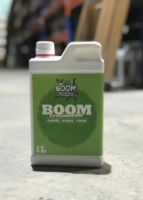 Crecimiento Boom (Growth Boom)