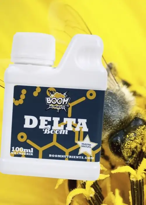 Delta Boom