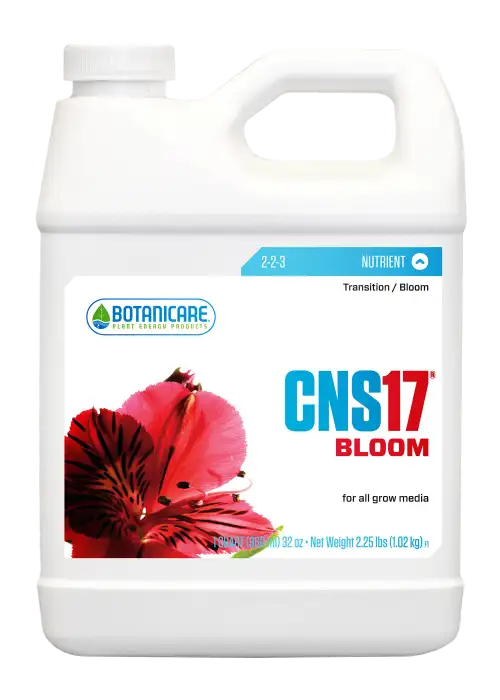 CNS17 Bloom
