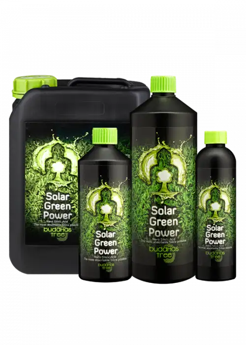 Solar Green power