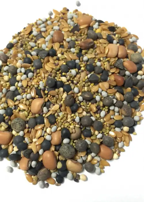 12 Seed Clover Cover Crop Blend